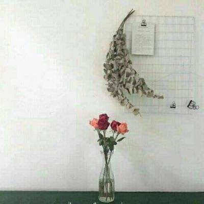 星球召唤师手游下载